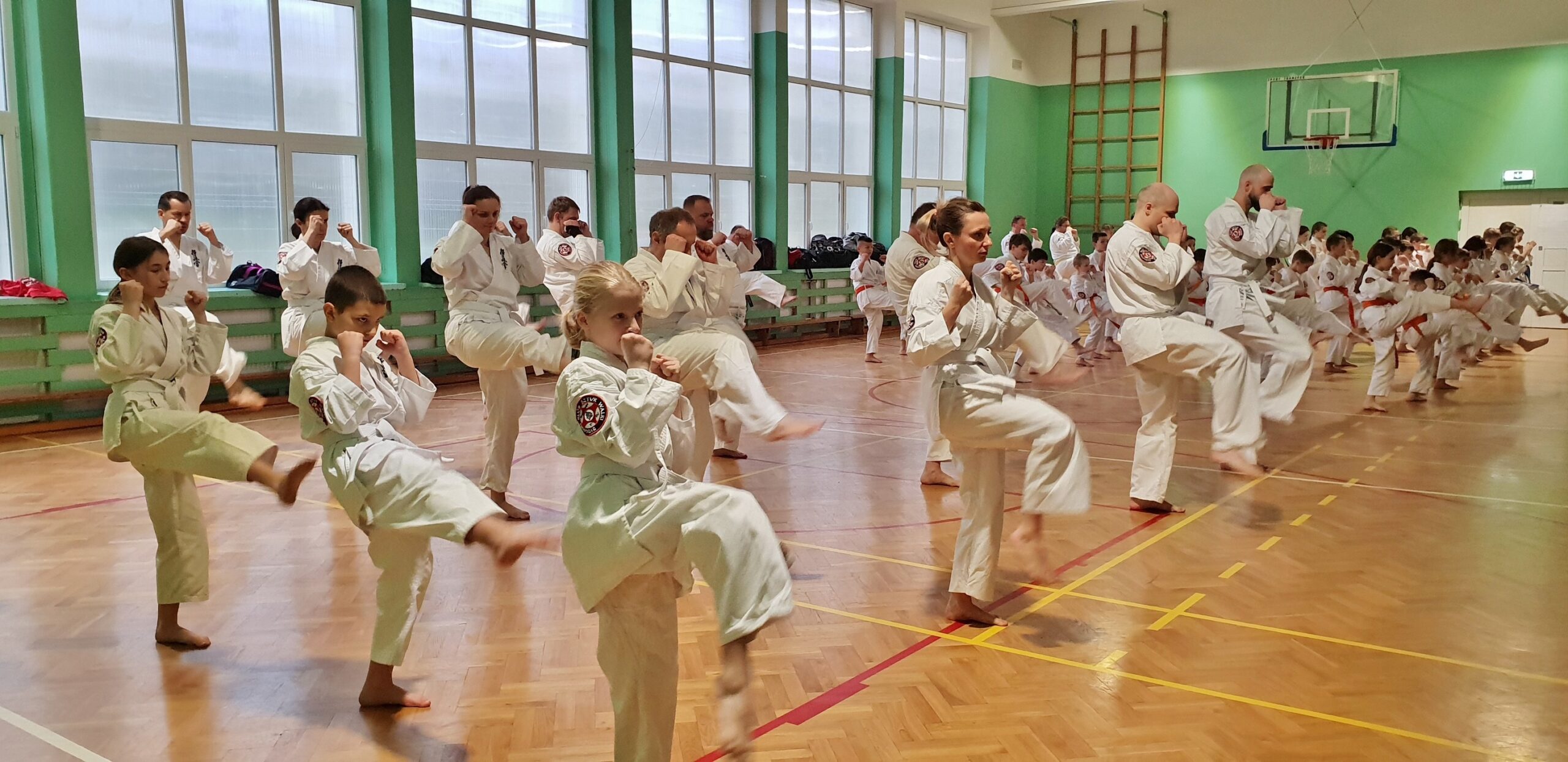 Wymagania egzaminacyjne Kyokushin Karate