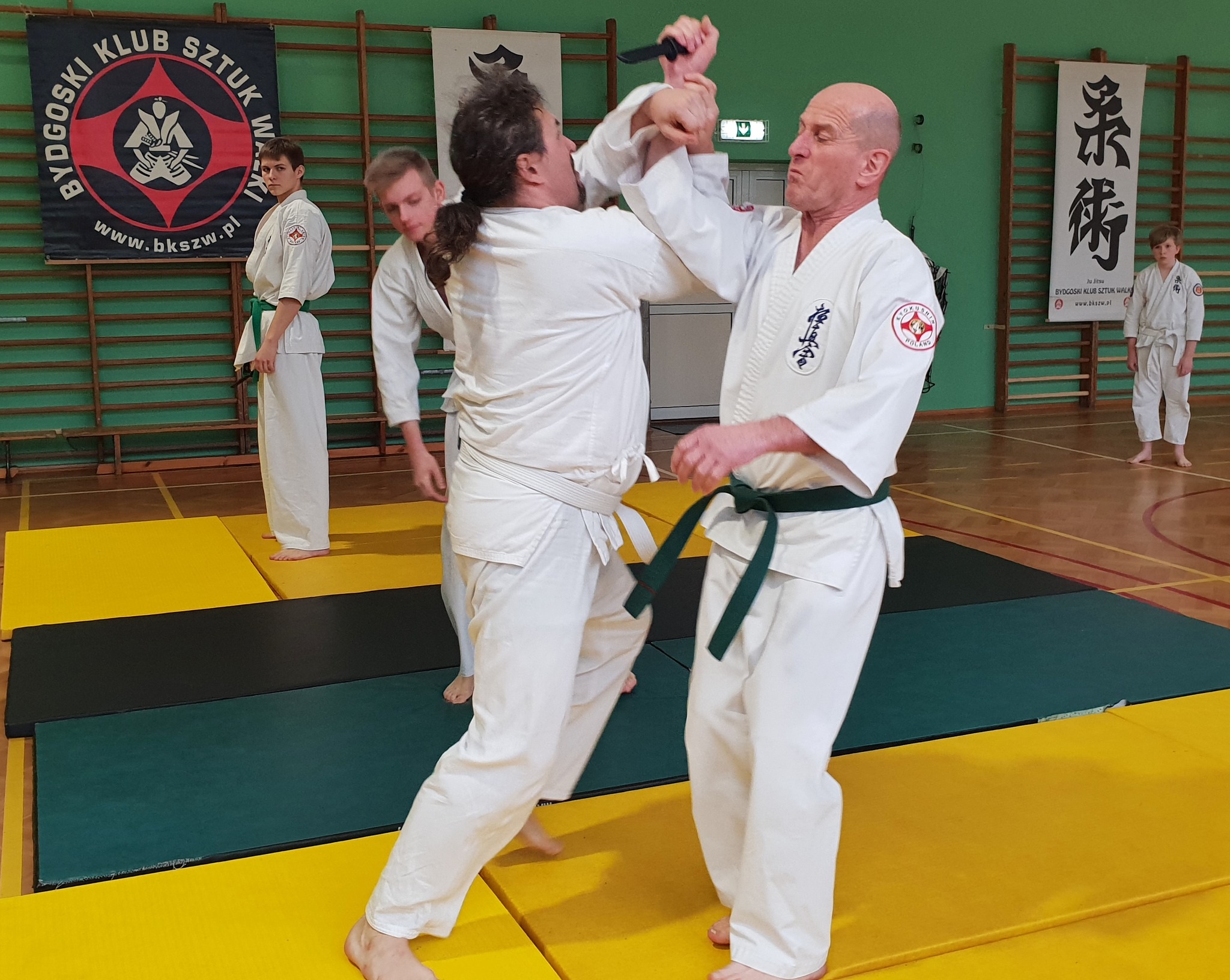 Wymagania egzaminacyjne Ju Jitsu